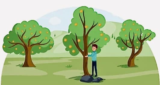Tree Shaking
